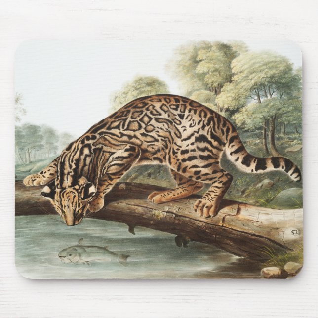 Ocelot, Leopard Cat (Felis pardalis) Illustration Mouse Mat (Front)
