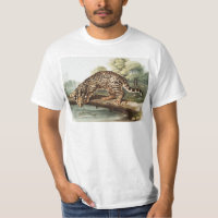 Ocelot, Leopard Cat (Felis pardalis) Illustration