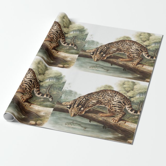 Ocelot, Leopard Cat (Felis pardalis) Illustration Wrapping Paper (Unrolled)