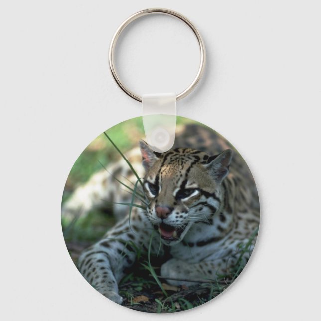 Ocelot lying down key ring (Front)
