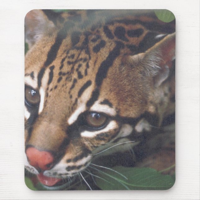 OCELOT MOUSE MAT (Front)