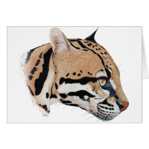Ocelot Portrait
