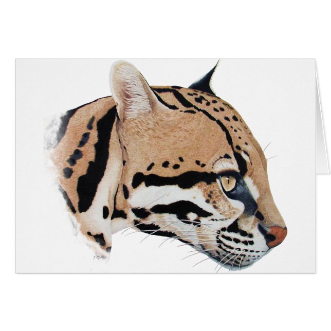 Ocelot Portrait (Front Horizontal)
