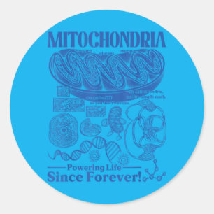 Ochondria Vintage Science Biology Cell Diagram Classic Round Sticker