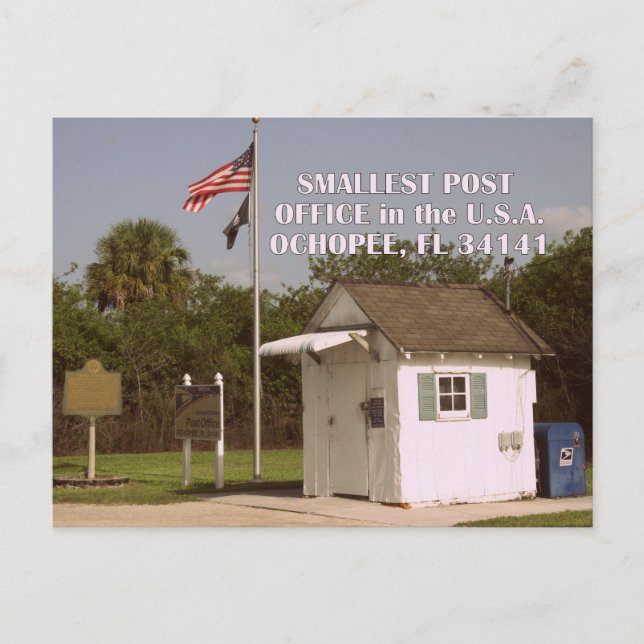 Ochopee, FL - Smallest Post Office in America Postcard (Front)