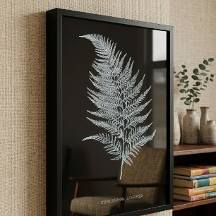 Ochre Fern Frond, Gymnogramma Ochracea  Photo Print