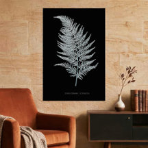 Ochre Fern Frond, Gymnogramma Ochracea