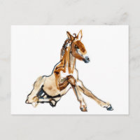Ochre Foal