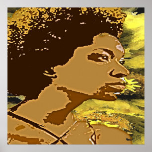 ochun sunflower poster