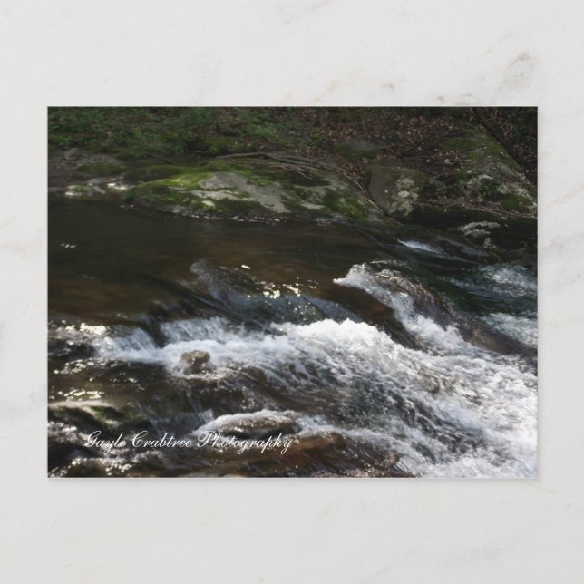 Ocoee River, Tennessee Postcard (Front)