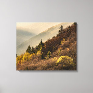 Oconaluftee Valley Overlook North Carolina Canvas Print