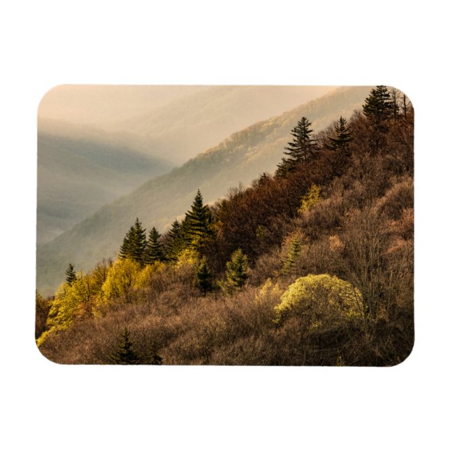 Oconaluftee Valley Overlook | North Carolina Magnet (Horizontal)