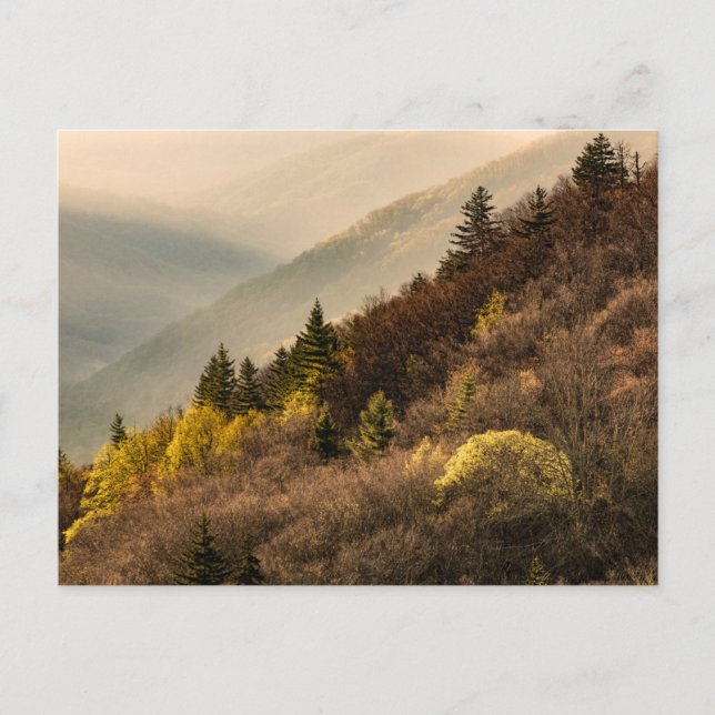 Oconaluftee Valley Overlook | North Carolina Postcard (Front)
