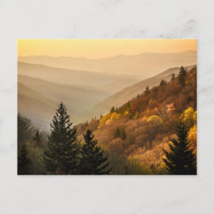 Oconaluftee Valley Overlook   North Carolina Postcard