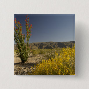 Ocotillo and desert senna 15 cm square badge