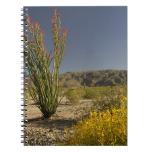 Ocotillo and desert senna notebook