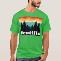 Ocotillo California Retro