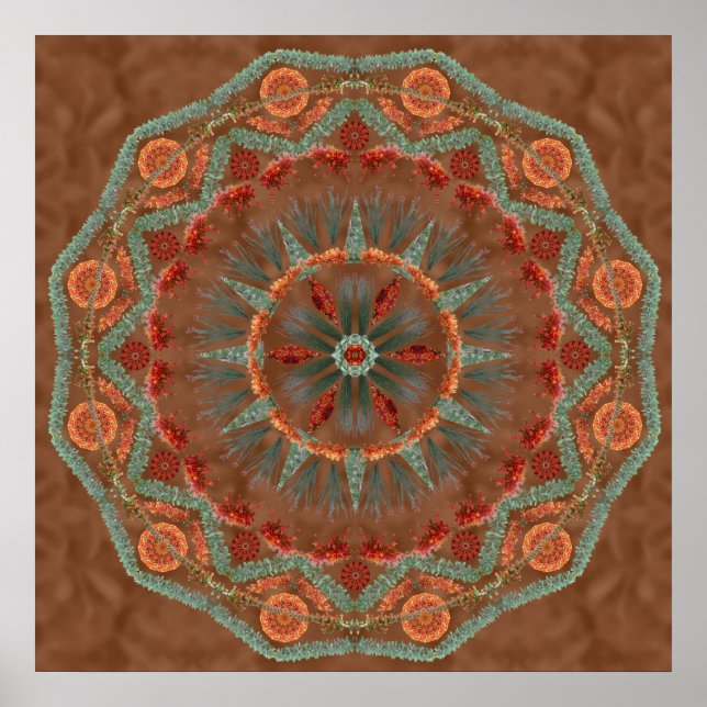 Ocotillo Mandala 1 Poster (Front)