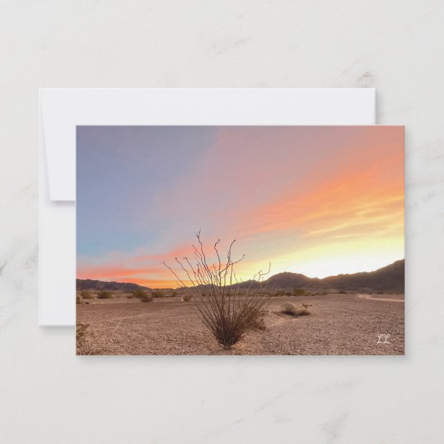 Ocotillo Sunrise Card (Front)