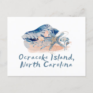 Ocracoke Island Seashells  Postcard