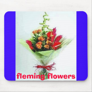 oct 20 th pictures of the house 082, fleming fl... mouse mat