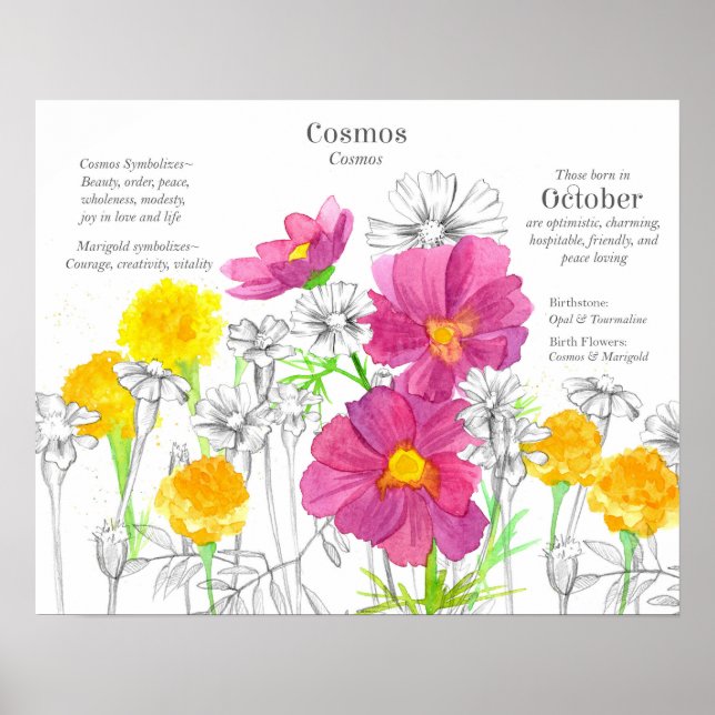 October Birth Flower Language of Flowers Marigold Poster (Front)