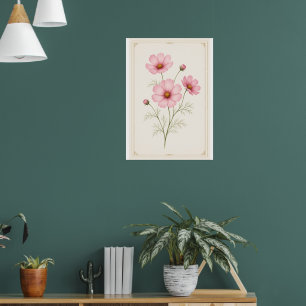 October Birth Flower Wall Art Print, Cosmos print