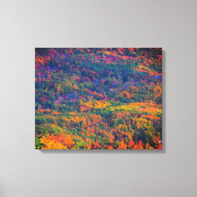 October Colours Triptych Canvas Print (Front)