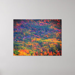 October Colours Triptych Canvas Print