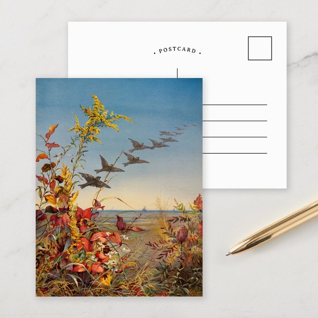 October | Fidelia Bridges Postcard (Creator Uploaded)