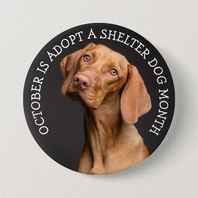 October is Adopt a Shelter Dog Month 7.5 Cm Round Badge (Front)