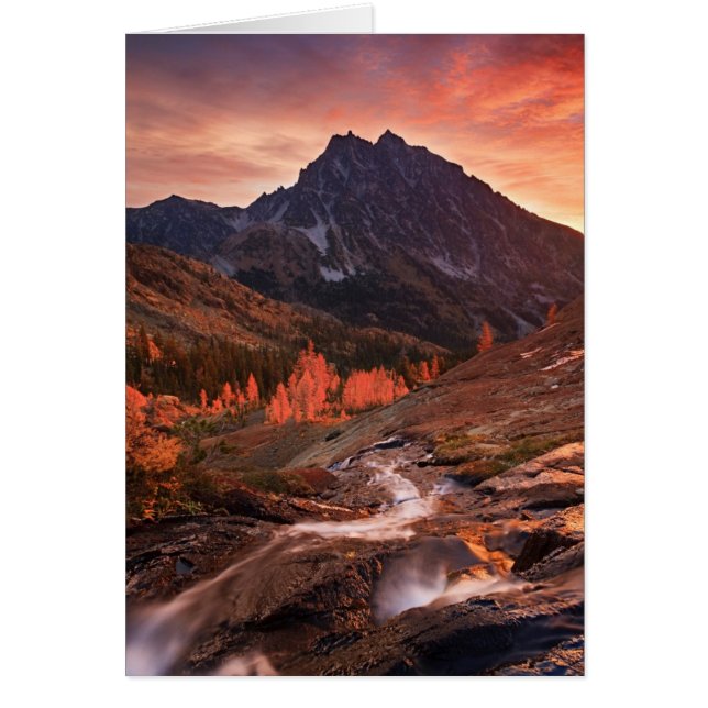 October Light on Headlight Basin (Front)