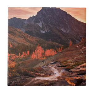 October Light on Headlight Basin Tile