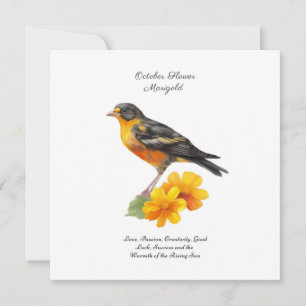 October Marigold Flower and Bird Birth         
