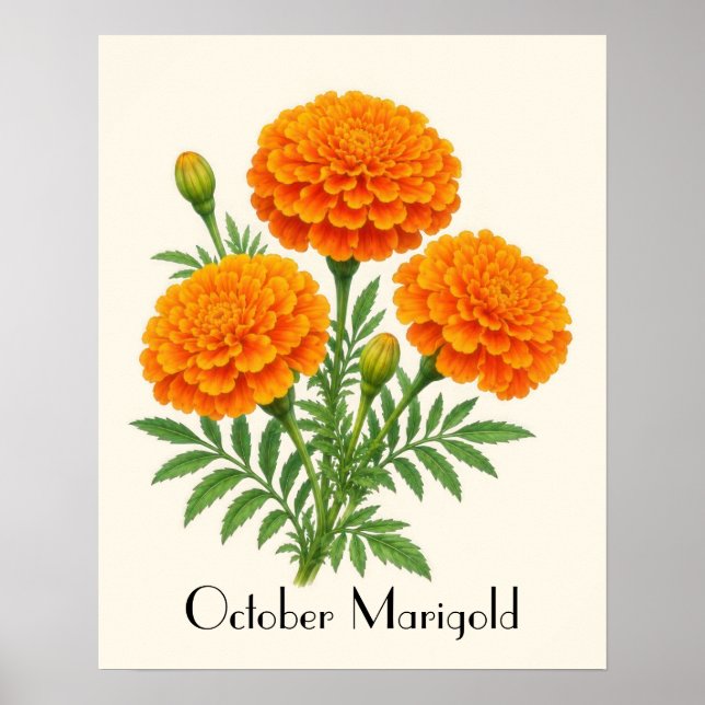October Marigold Flowers Poster (Front)