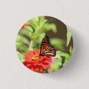October Monarch 3 Cm Round Badge