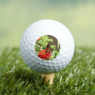 October Monarch Golf Balls