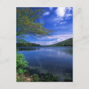 October Mountain State Forest Pond Postcard