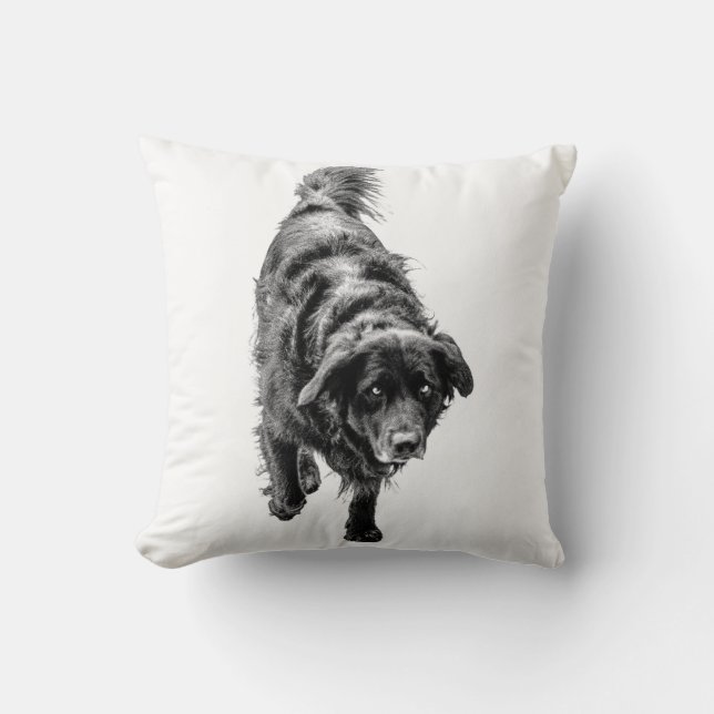 October Night Watch Cushion (Front)