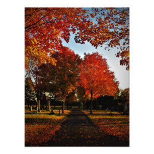 "October Shine" Photo Print