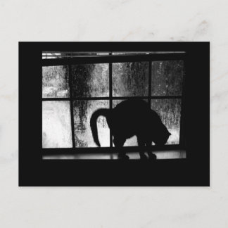October Showers Cat Silhouette At Window 2 B&W Postcard