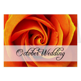 October Wedding : rose of the season :