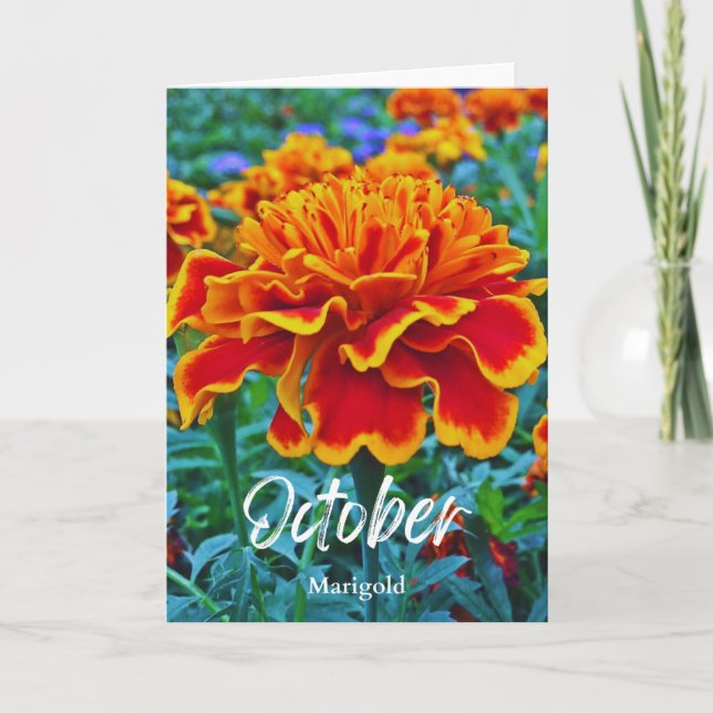 October Yellow Gold Marigold Birth Month Flower Card (Front)