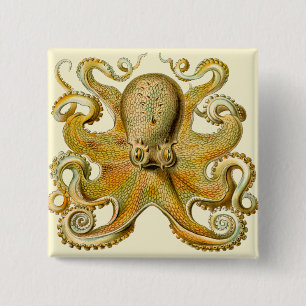 Octopus antique illustration sea monster 15 cm square badge
