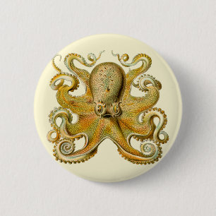 Octopus antique illustration sea monster 6 cm round badge