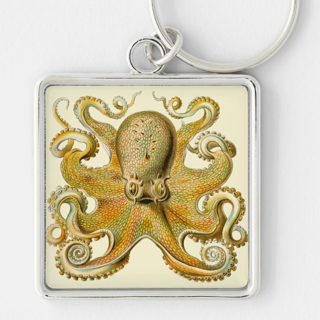 Octopus antique illustration sea monster key ring (Front)