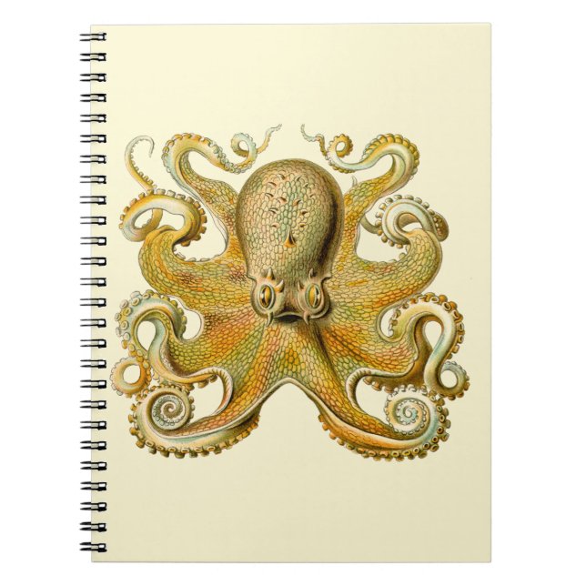 Octopus antique illustration sea monster notebook (Front)