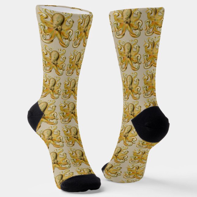 Octopus antique illustration sea monster socks (Angled)