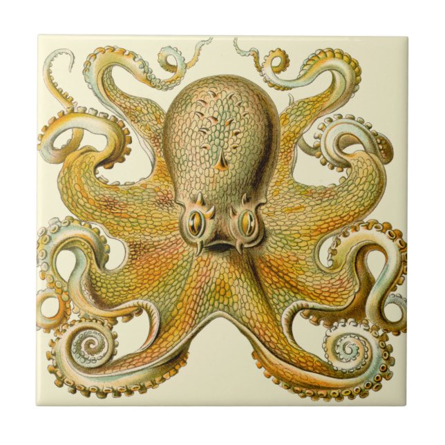 Octopus antique illustration sea monster tile (Front)