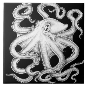 Octopus Black And White Ink Tile